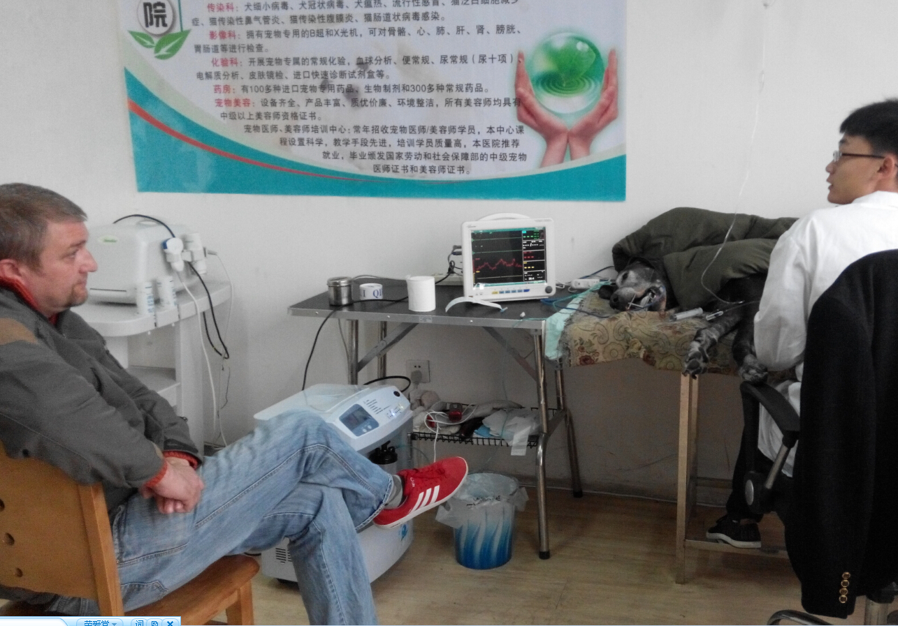 心電圖、血壓檢查